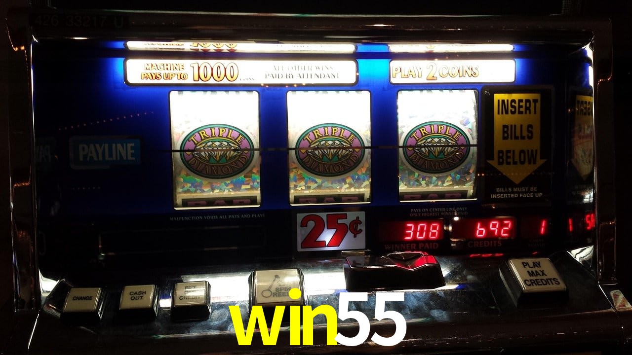 Aviator Game win55